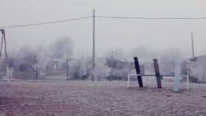 Imagen-JA-Frio-2019-fuerte-helada-en-COLAN-10734194