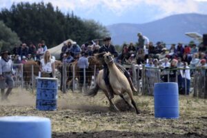 doma-bariloche