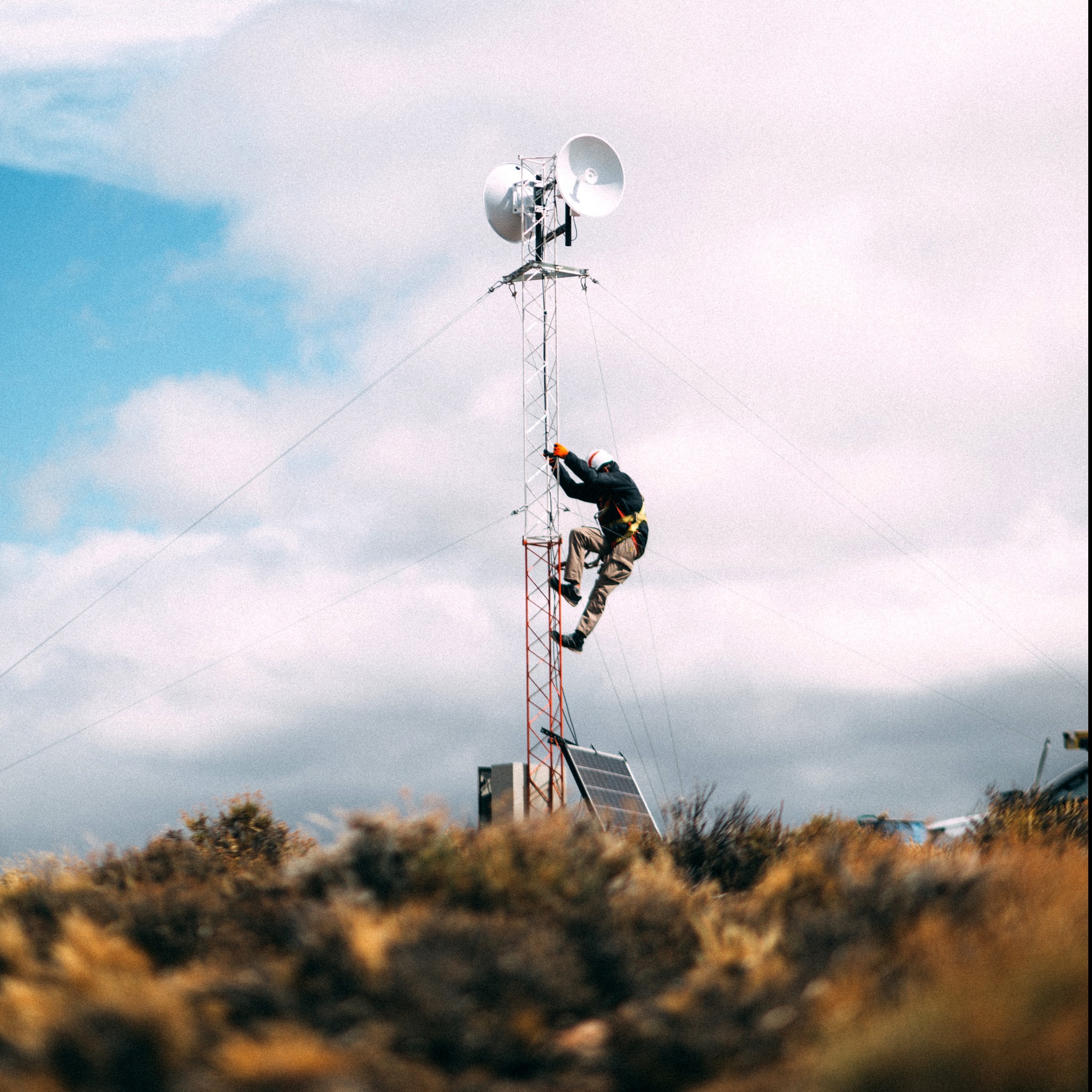 altec