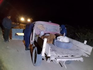 Detenidos-en-Los-Menucos-con-terneros-y-armas