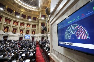 diputados-votacion-veto-discapacidad