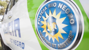 movil-policial-2
