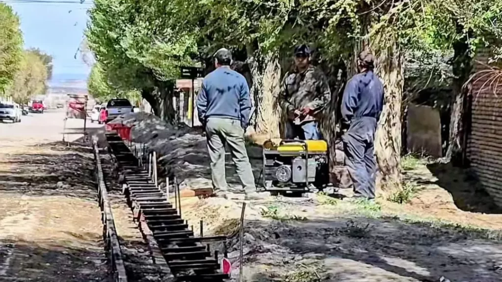 1762363135_11dd6566c23ec3f2dd71