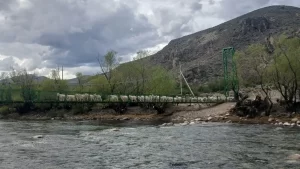 1762440658_0031dd27cc6ffaf2dbff