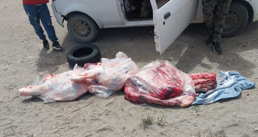 1763054527_bbc2ad09c5e90c12e428