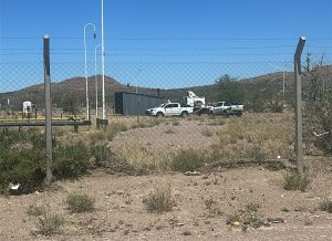 WhatsApp Image 2026-01-13 at 14.19.38