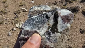 1771603508_5dcac285a4ad21dd7e37