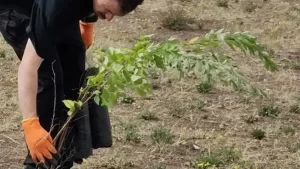 1773767900_74f9bf72b0cd2b027ec8