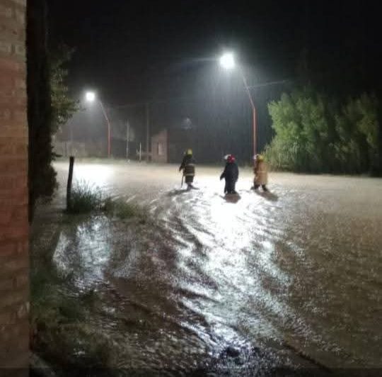 WhatsApp Image 2026-03-09 at 08.10.58