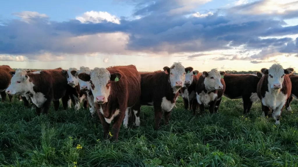 1777303729_1c40c36e16fe6c6a8cc5