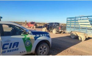 668186831_1092679170594912_4588434363871084608_n