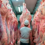 Por la sequía, aumenta la faena bovina en Río Negro