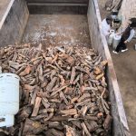 Sierra Colorada: El Municipio inició el Programa de Asistencia a Productores Ganaderos para afrontar el invierno 2026