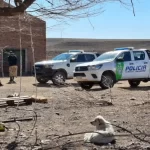 Los Menucos: Dos personas afrontaran juicio por haber faenado 8 equinos de manera clandestina