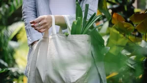 bolsas