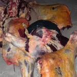 Pilcaniyeu: interceptan un vehículo con carne faenada en condiciones irregulares