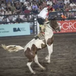 Comienza el Campeonato Rionegrino de Jineteadas rumbo a Jesús María