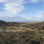 Río Negro releva la población de choique en la Meseta de Somuncurá