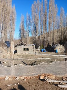 vecinos-768x1024