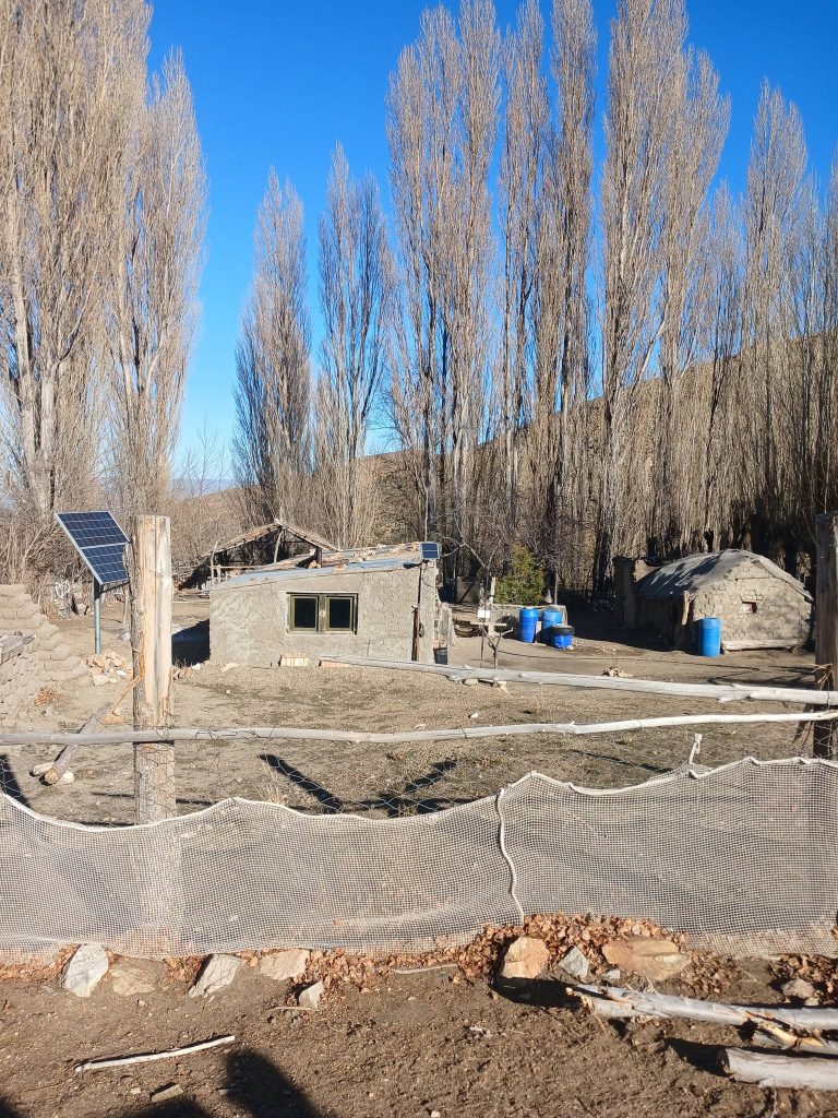 vecinos-768x1024